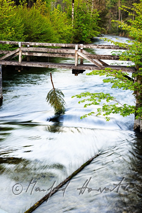 christmas tree hanging from a foot bridge into a river