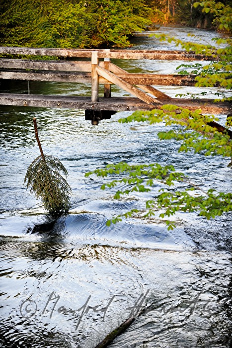christmas tree hanging from a foot bridge into a river