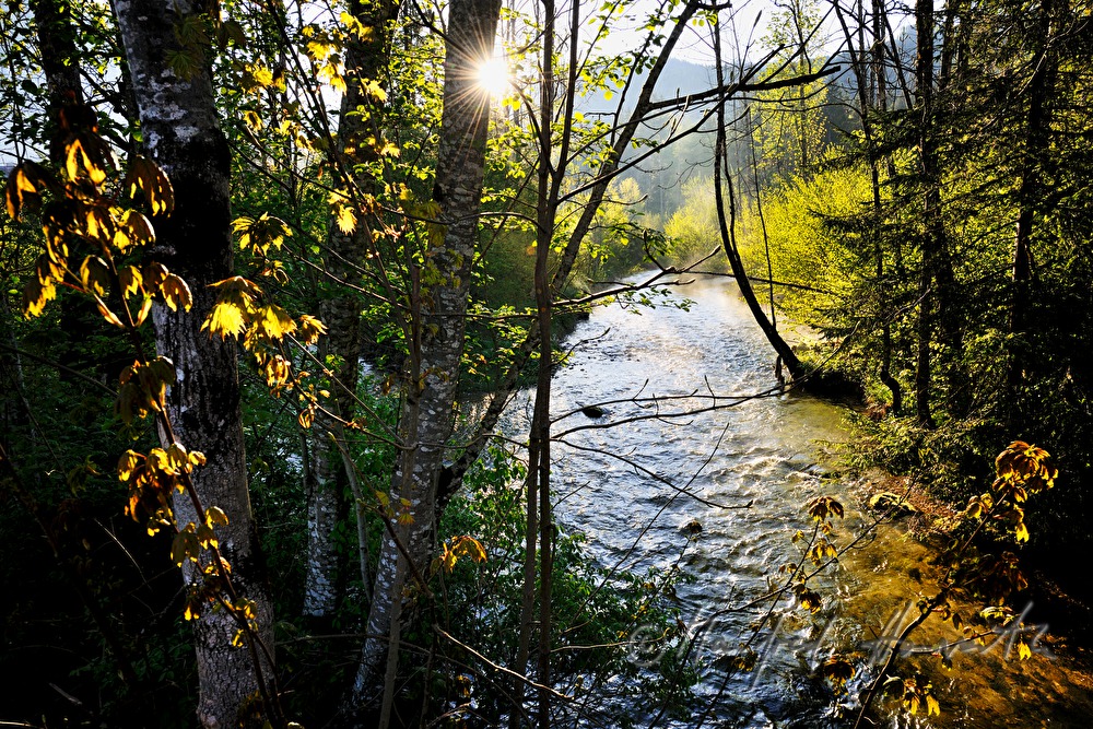 the stream Toplitzbach vapouring in the morning