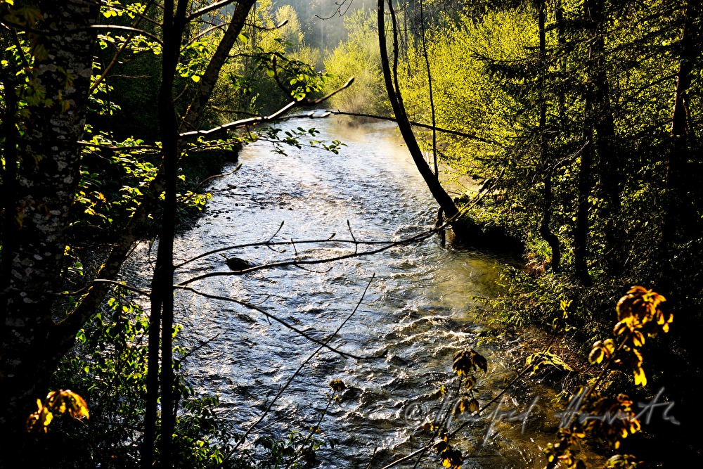 the stream Toplitzbach vapouring in the morning