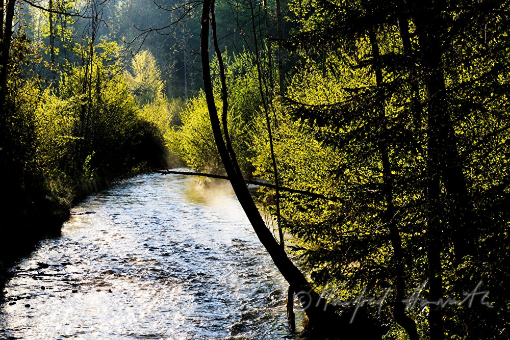 the stream Toplitzbach vapouring in the morning