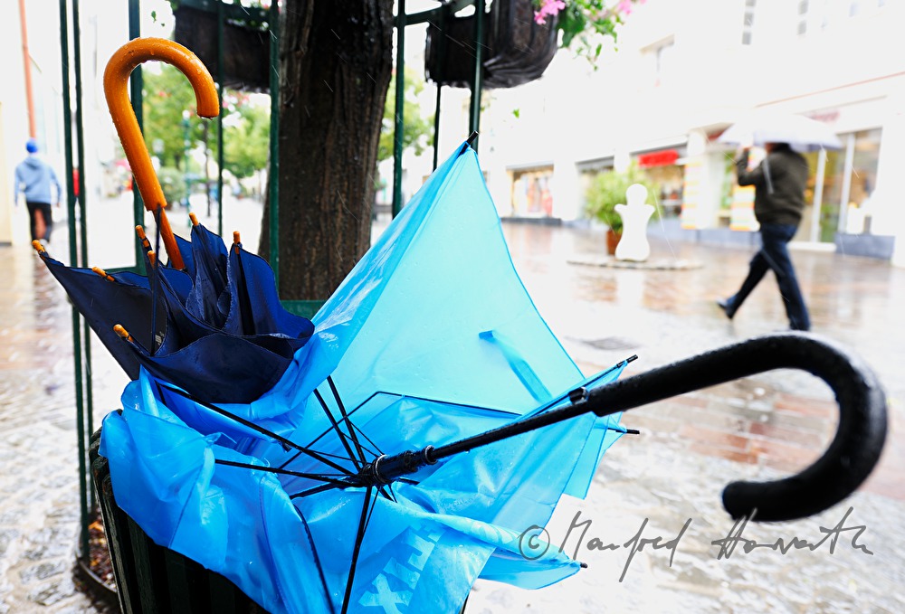 windbroken umbrellas in a waste bucket