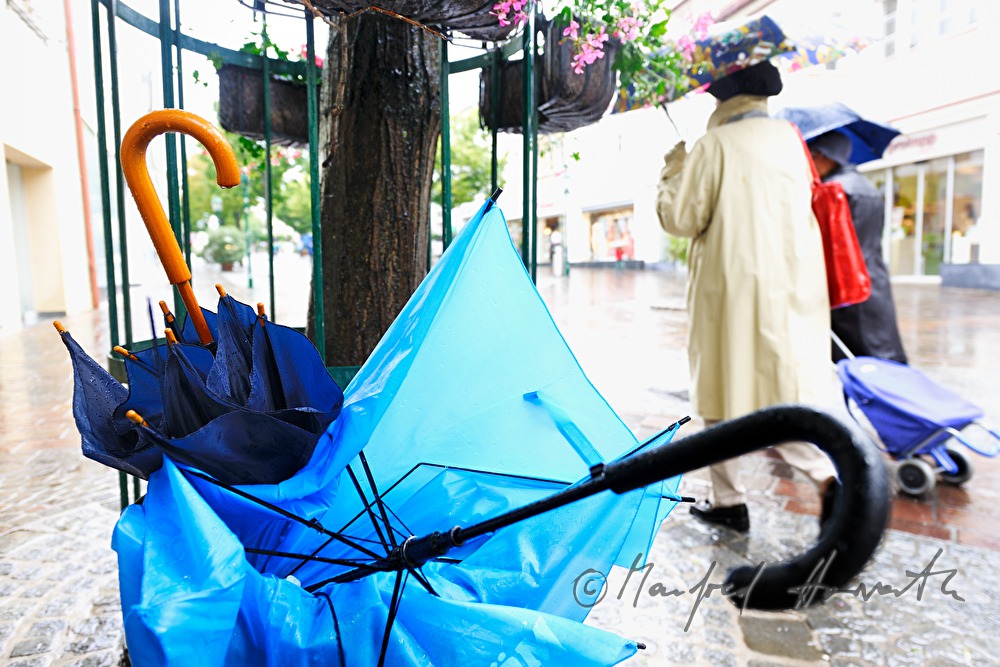 windbroken umbrellas in a waste bucket