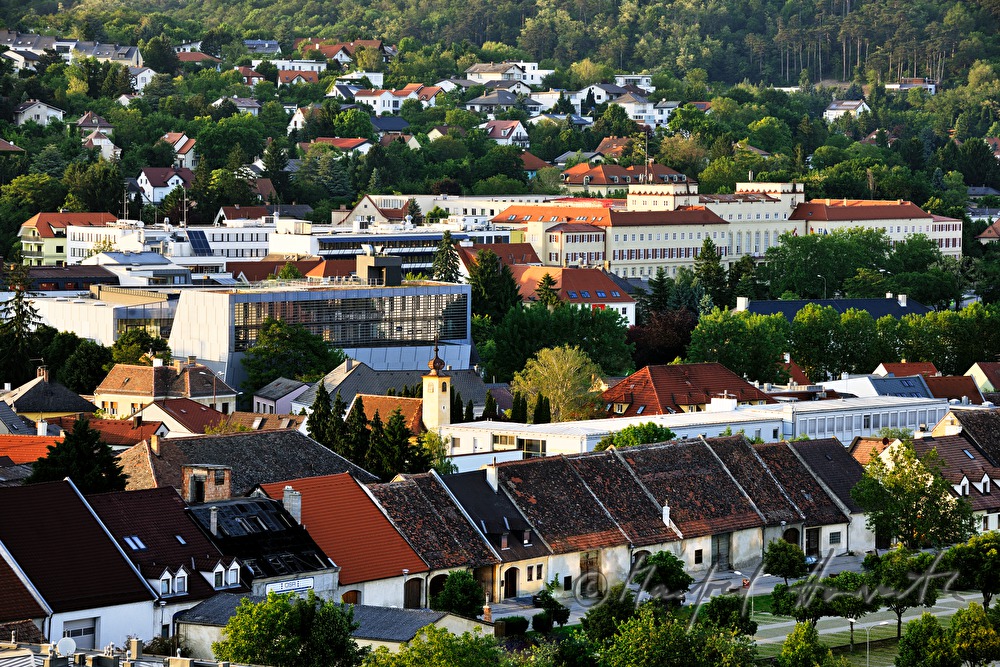 roofs of the barns in Feldgasse and government building