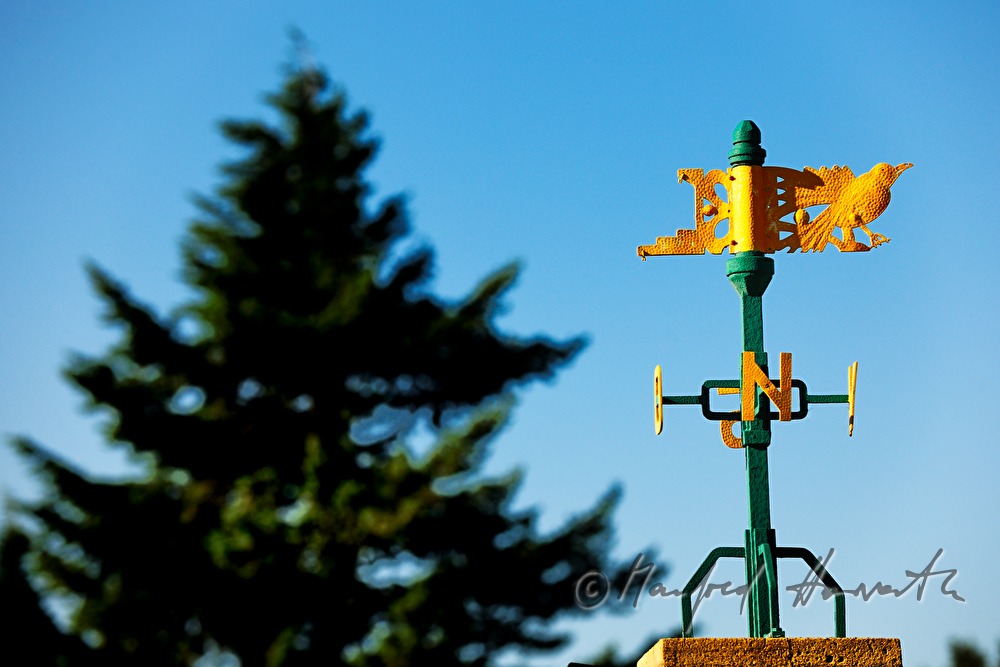 roof of the meteorological office