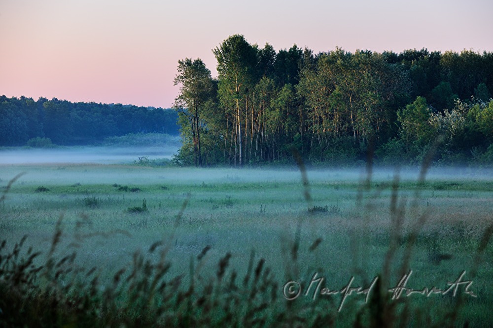 morning mist over the flood plains