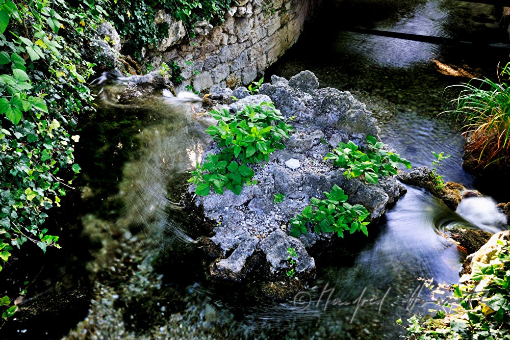 drainage of thermal water into a niotope