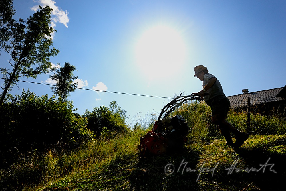 mountain farmer mowing the slope with a motor mower