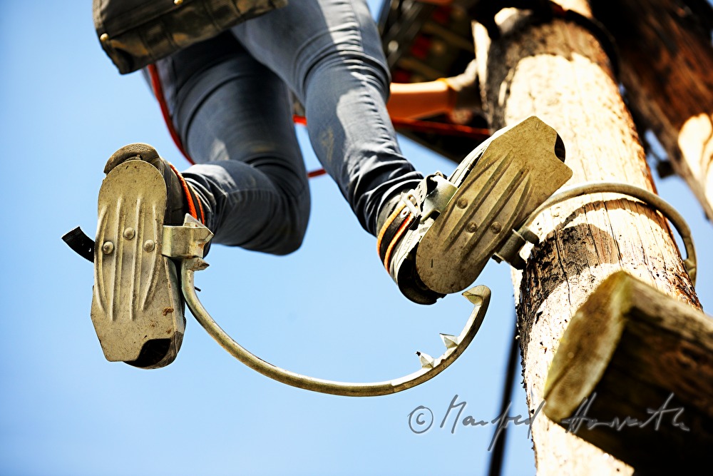 woman electrician climbing a power pole