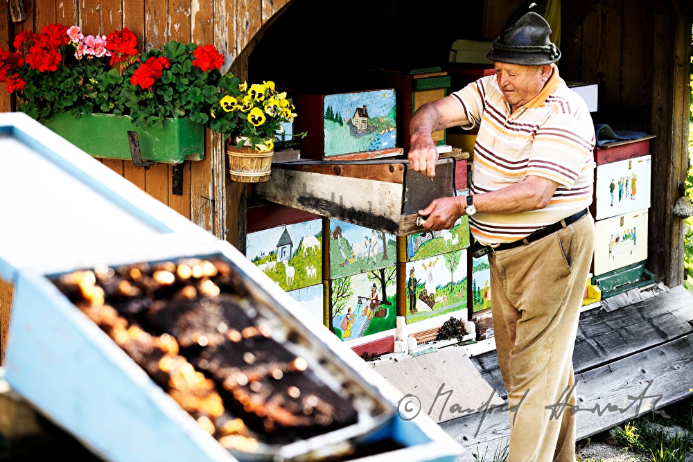 colourful painted beehives and beekeeper