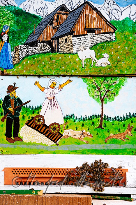 colourful painted beehives and Carniolan honey bees
