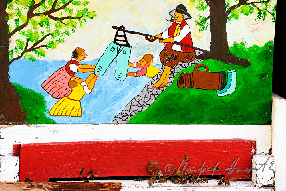 colourful painted beehives and Carniolan honey bees