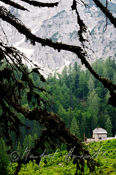 alp hut on the foot of the mountain 