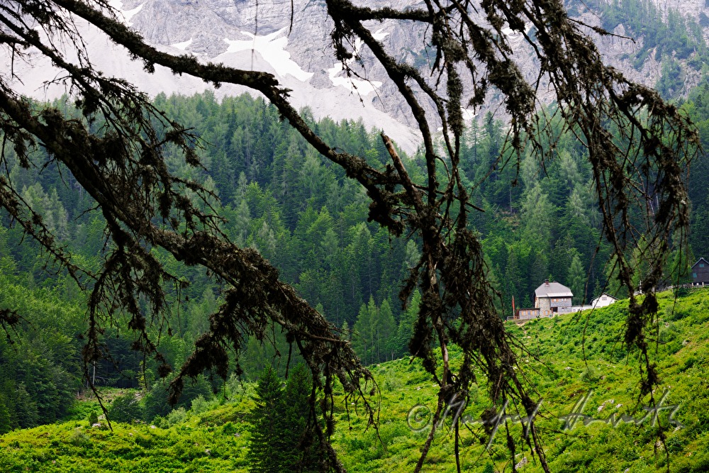alp hut on the foot of the mountain 