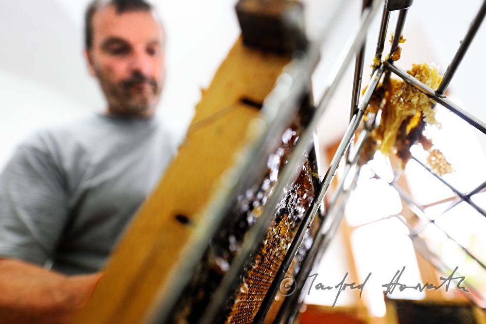 opening of the honey combs before extraction