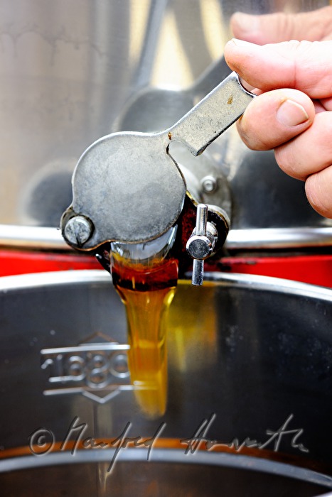 production of honey with the honey extractor