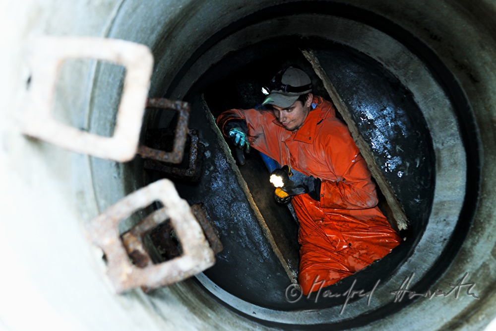 navvy in the manhole inspects the sewer