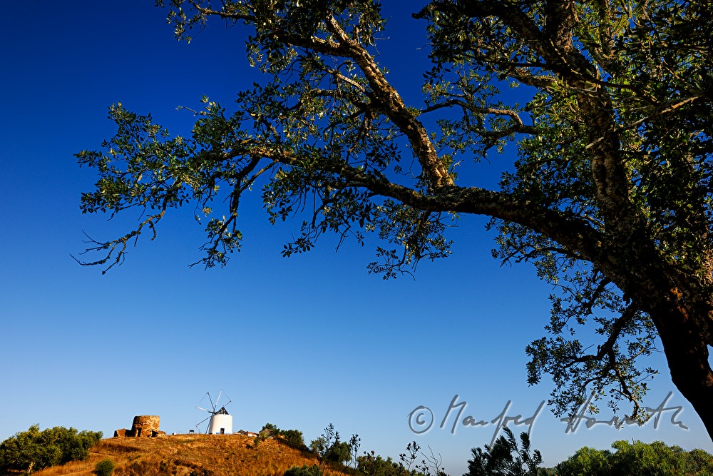 wind mill on the hill over the town