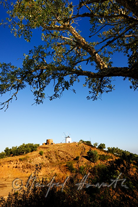 wind mill on the hill over the town