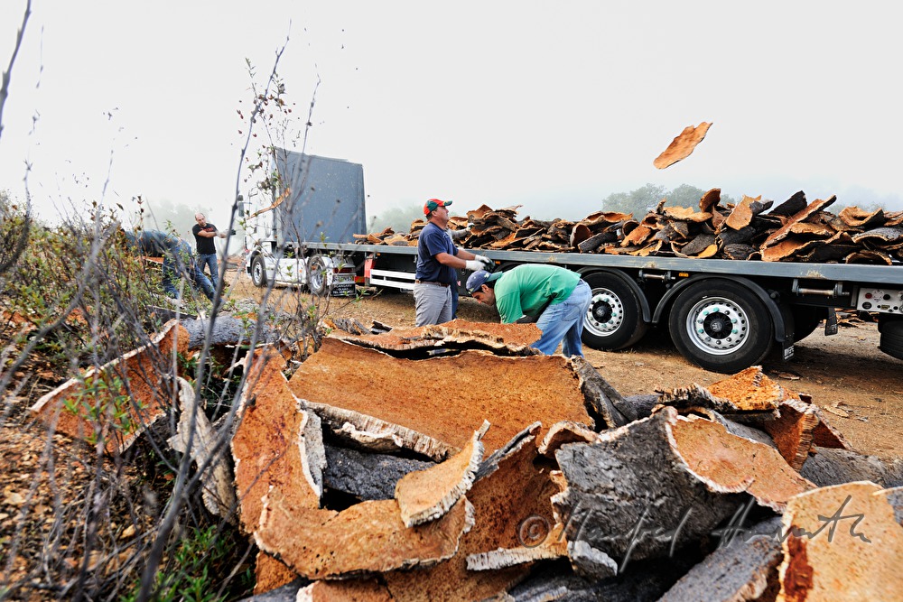 loading of a truck with oak bark