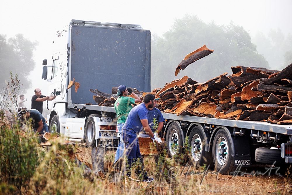 loading of a truck with oak bark