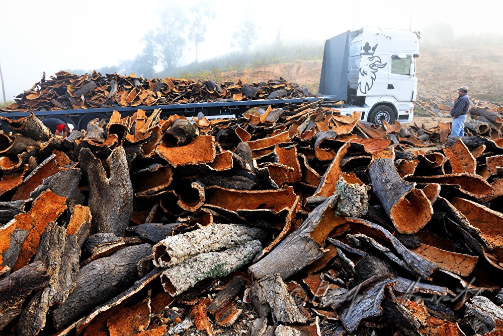 loading of a truck with oak bark