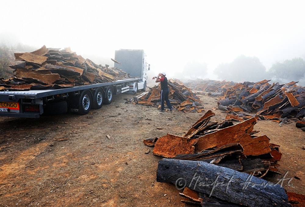 loading of a truck with oak bark