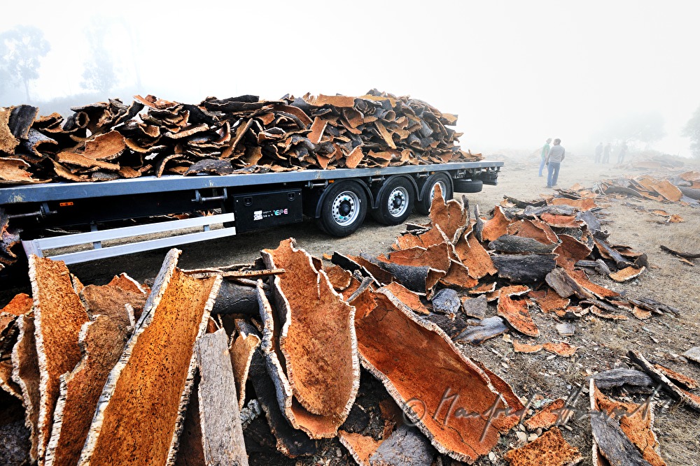 loading of a truck with oak bark