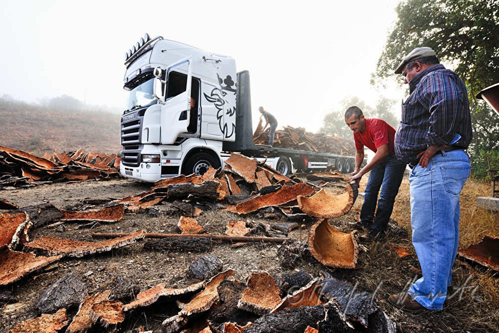 loading of a truck with oak bark