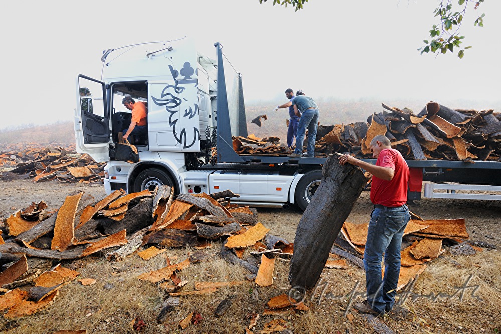 loading of a truck with oak bark