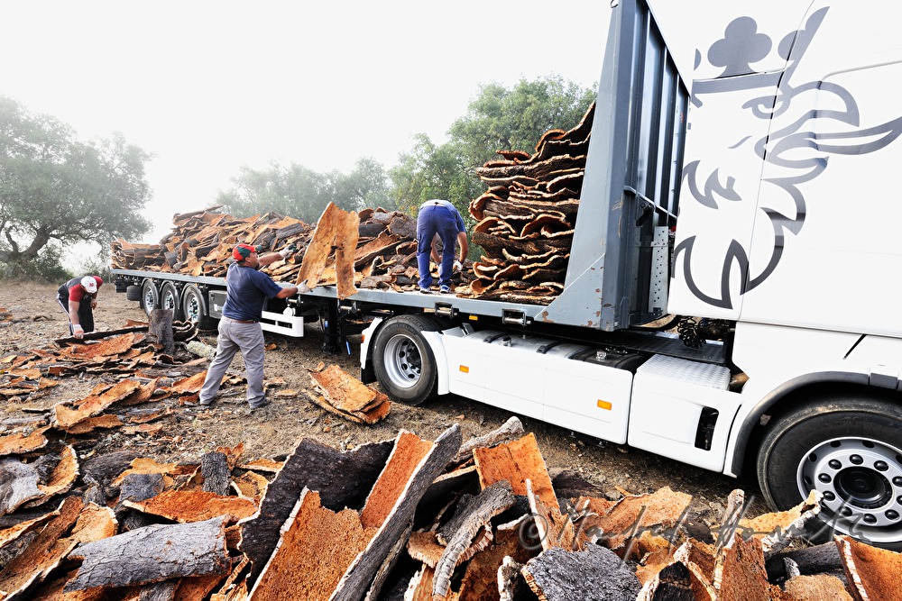 loading of a truck with oak bark