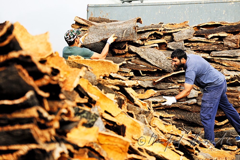 loading of a truck with oak bark
