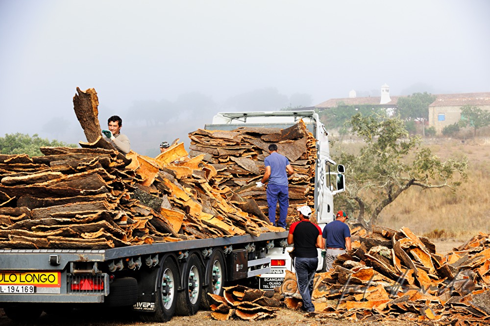 loading of a truck with oak bark