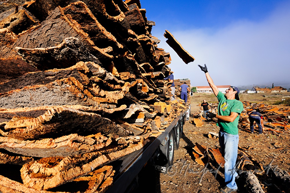 loading of a truck with oak bark