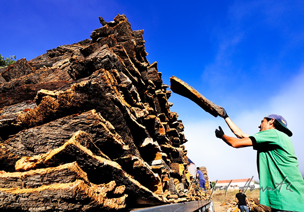 loading of a truck with oak bark