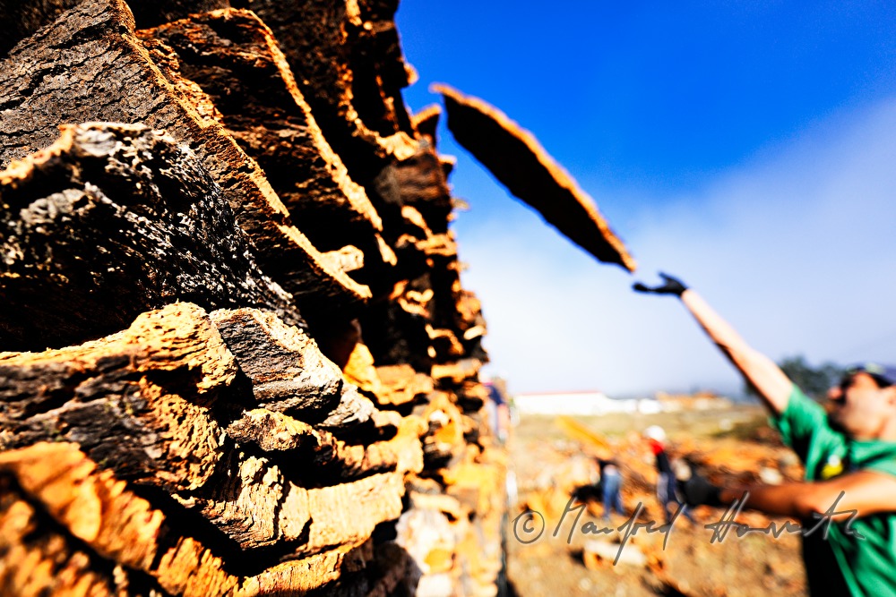 loading of a truck with oak bark