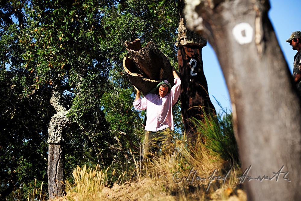 worker bringing cork bark