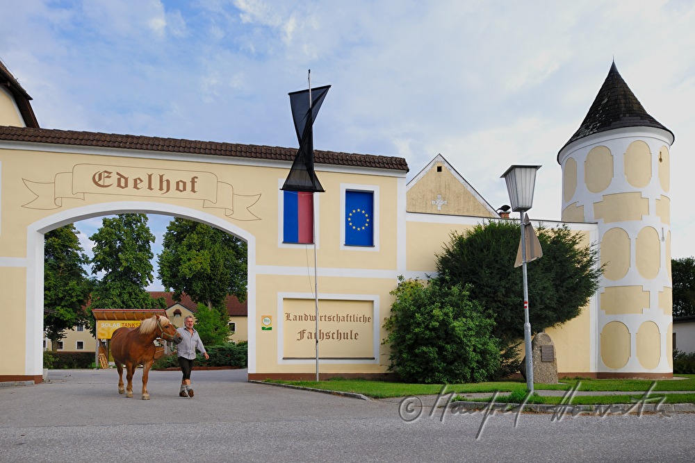 working horse and lumberjack near the Estate Edelhof