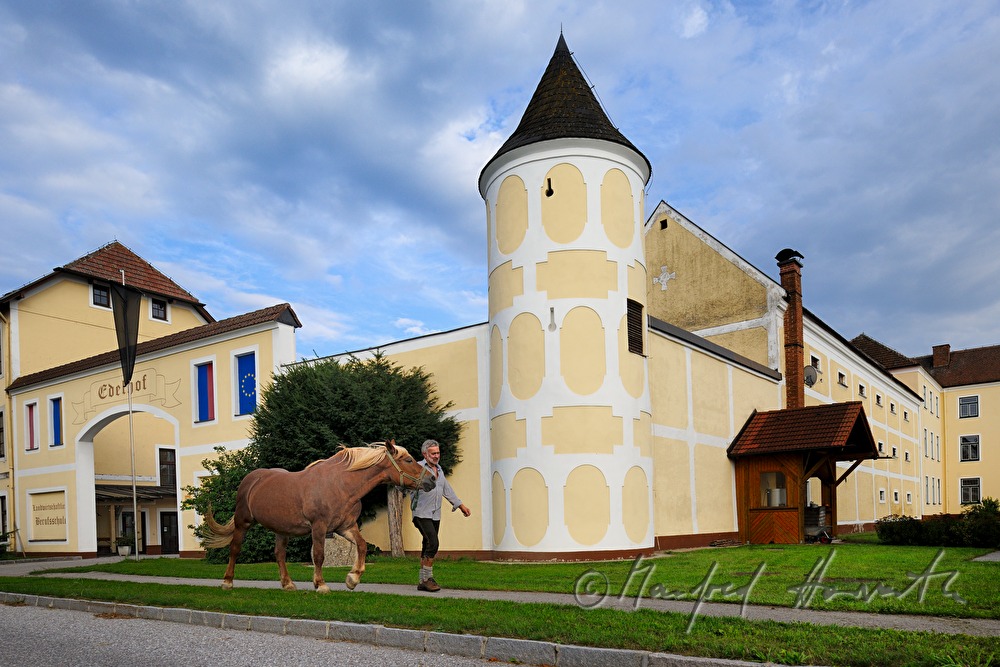 working horse and lumberjack near the Estate Edelhof