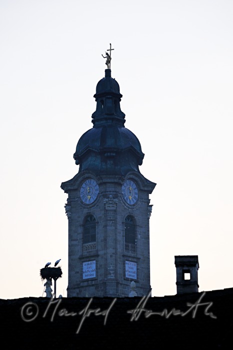 bellfry of the collegian church and stork's nest