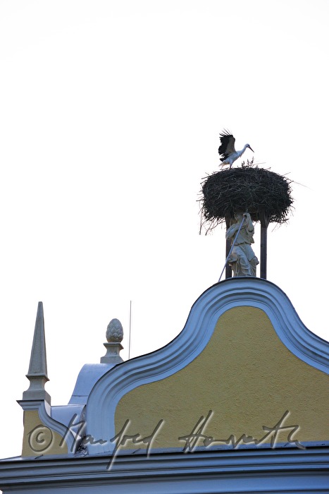 stork's nest on the roof in the inner courtyard