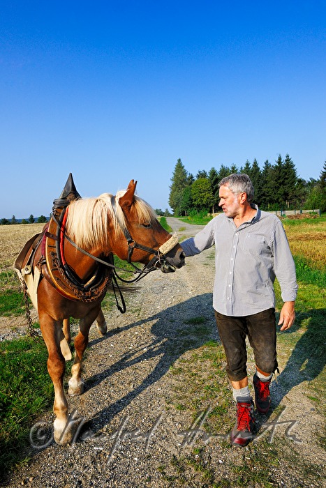 lumberjack with working horse on the way to the woods
