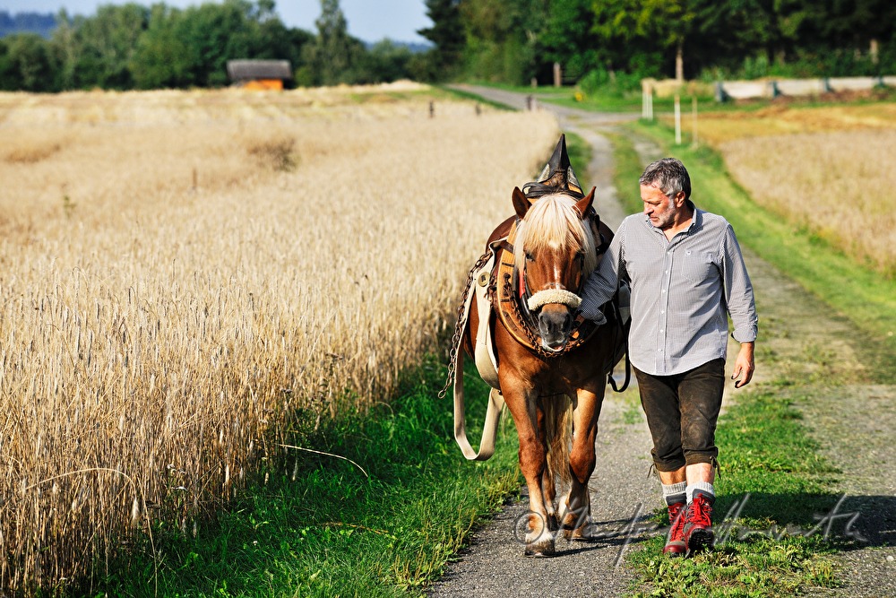 lumberjack with working horse on the way to the woods