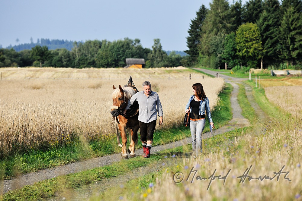 lumberjack with working horse on the way to the woods