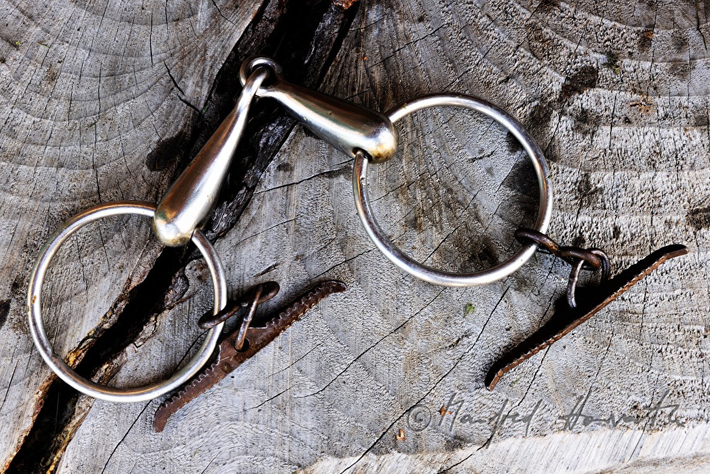 snaffle for the working horse in the stable