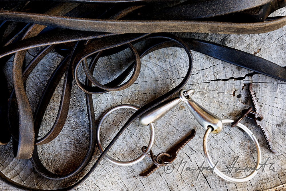 snaffle and leather straps for the working horse in the stable