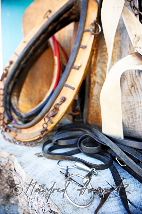 collar and bridle for the working horse