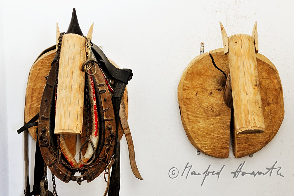 collar and bridle for the working horse