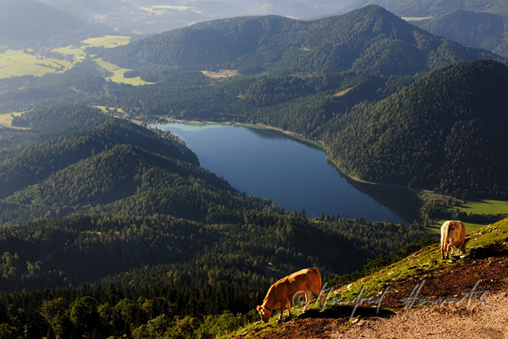 view from the Terzerhaus to Erlaufsee