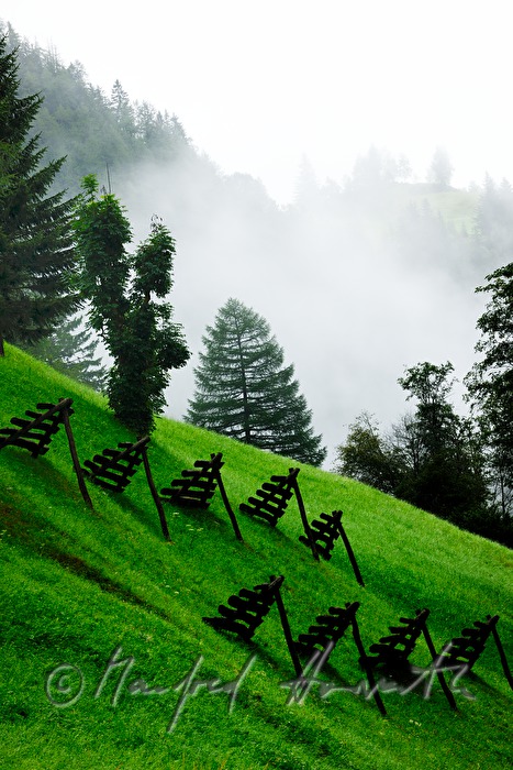 avalanche barrier on a steep meadow